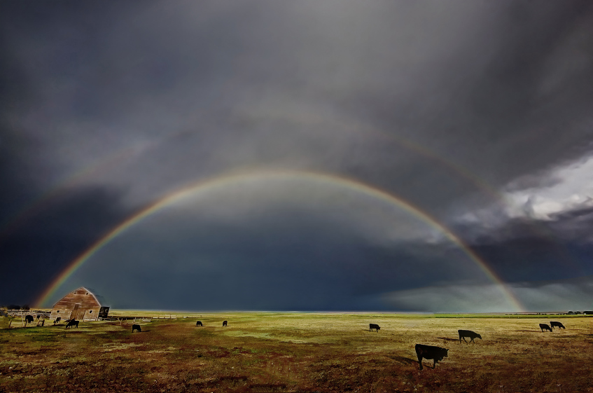 Somewhere Over
