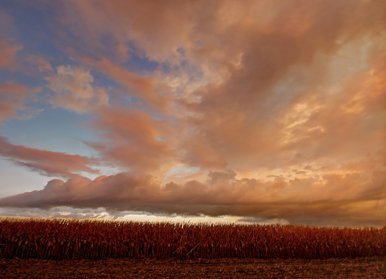 Sunset with a tornado warned storm in NE Nebraska. Sunset with a tornado warned storm in NE Nebraska.