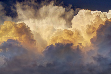 Updraft of Cotton