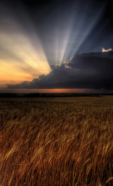 Kansas
