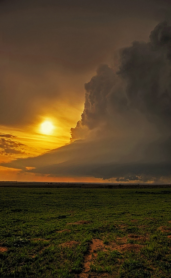 Bright Meso