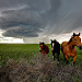 "Sensing the Storm #3"