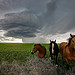 "Sensing the Storm #2"