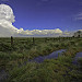 "Spring on the Plains"