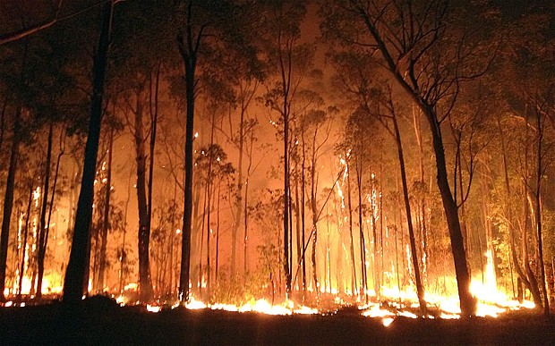 Australia Wildfire Australia Wildfire