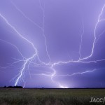 Monster anvil crawler/CG discharge during a severe thunderstorm over the South Alligator River, Northern Territory Australia. This all unleashed at once, setting off a huge chain reaction across sky. It was impossible to capture it all in frame even with a 14mm ultra wide lens on a full frame camera. Taken on the 27th Jan 2013.