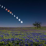 My composite image of the lunar eclipse over a field of bluebonnets in Ennis, Texas this morning.