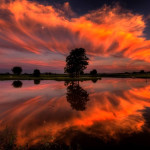 Fire in the Sky - This one was taken in Lowell, AR during one of the most amazing sunsets I have ever seen