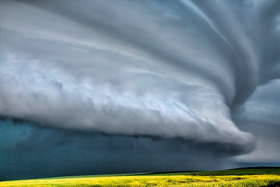 Best shelf cloud I have ever seen!!! Taken northwest of Stoughton, Saskatchewan during my 2012 chase season. This was shot when the beautiful tornado warned storm became outflow dominated right after a brief tornado.