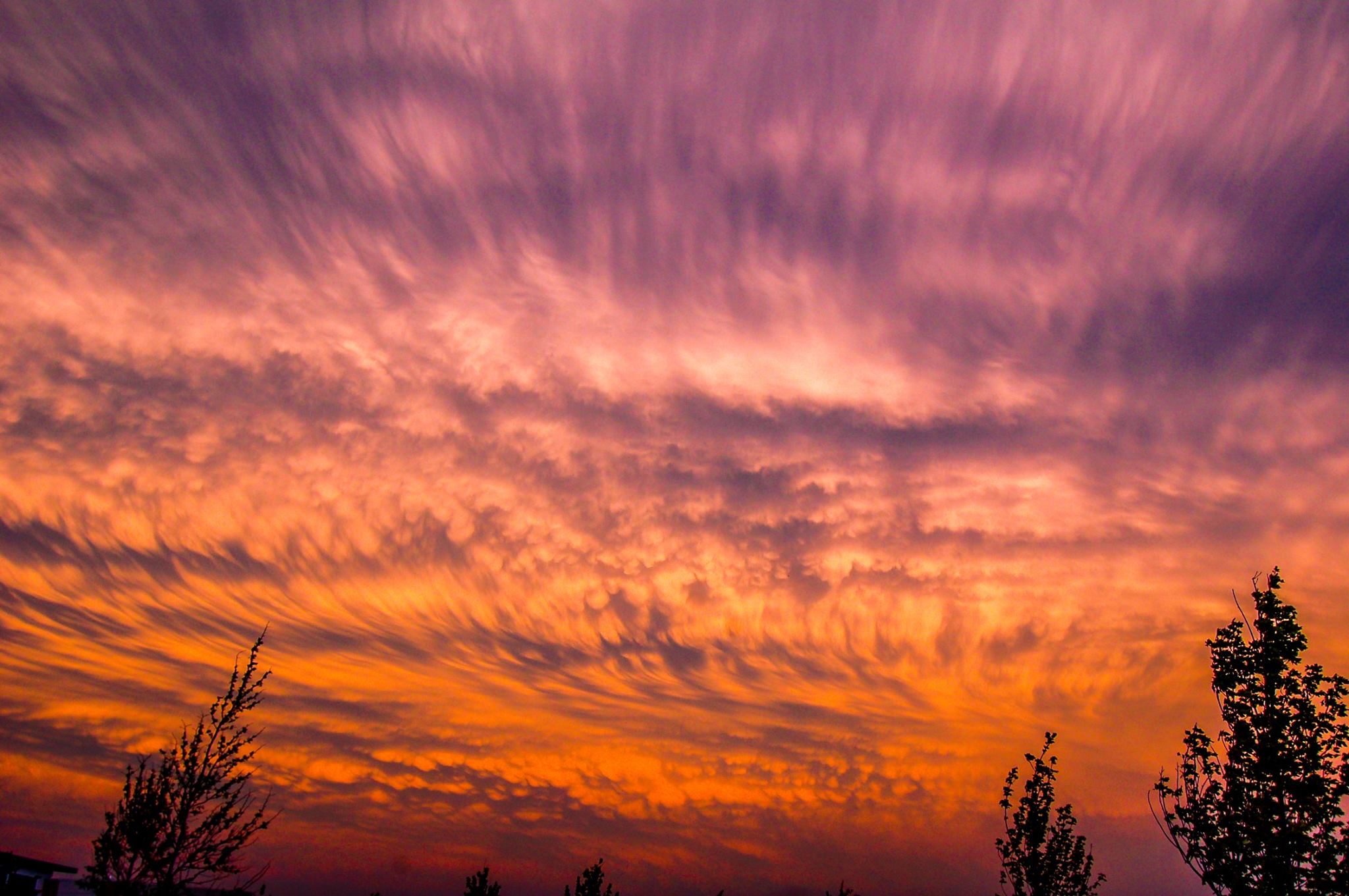 Golden Nebraska Mammatus Sunset Kearney Nebraska June 19, 2010 Golden Nebraska Mammatus Sunset Kearney Nebraska June 19, 2010