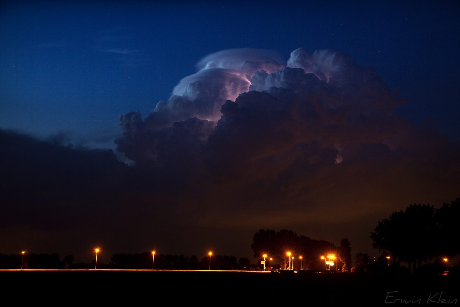 Noordeloos(The Netherlands), August 5, 2013. Noordeloos(The Netherlands), August 5, 2013.