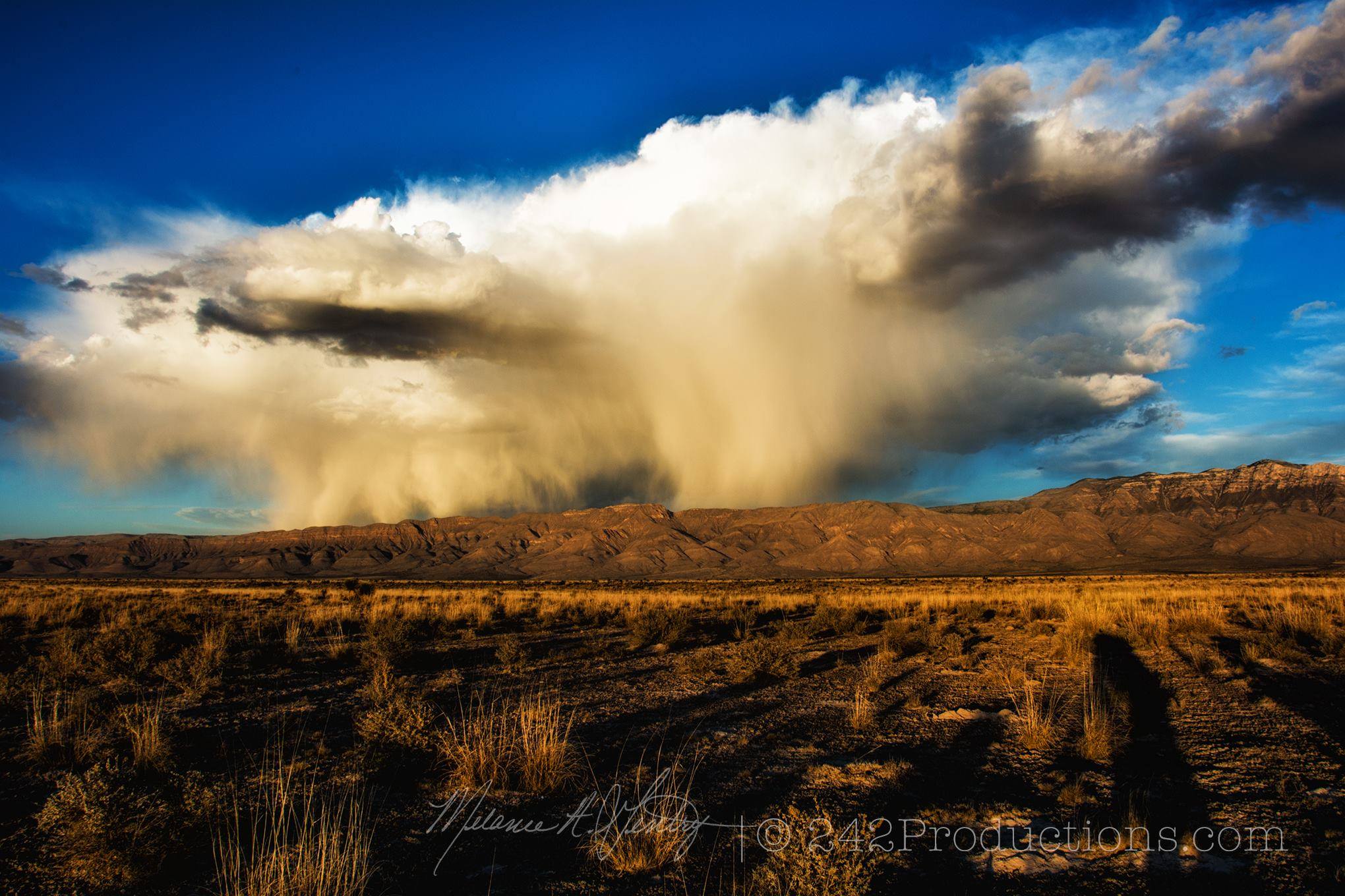 Early spring storm moving over the back country of Guadalupe Mountains National Park, this evening, it was running out of steam as I shot this but was beautiful nonetheless! Early spring storm moving over the back country of Guadalupe Mountains National Park, this evening, it was running out of steam as I shot this but was beautiful nonetheless!