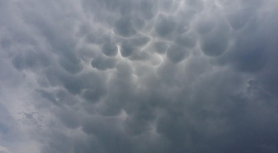23 August 2014 just a sky full mammatus 23 August 2014 just a sky full mammatus